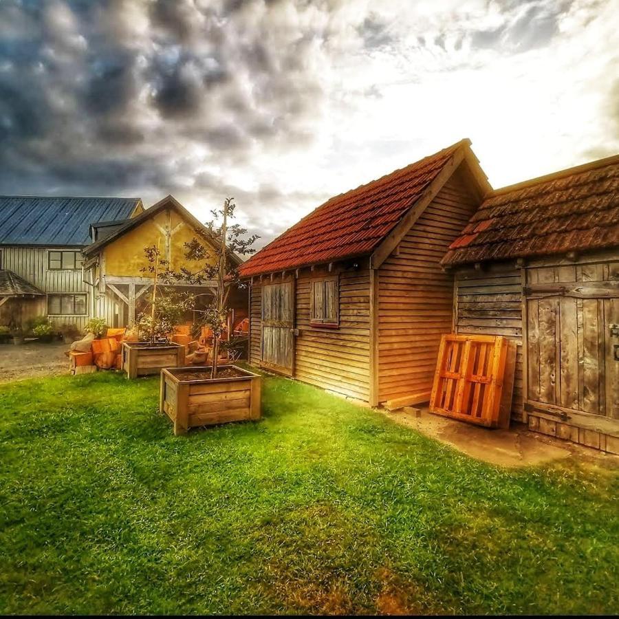 Housewithnonails Bed & Breakfast Matamata Exterior photo