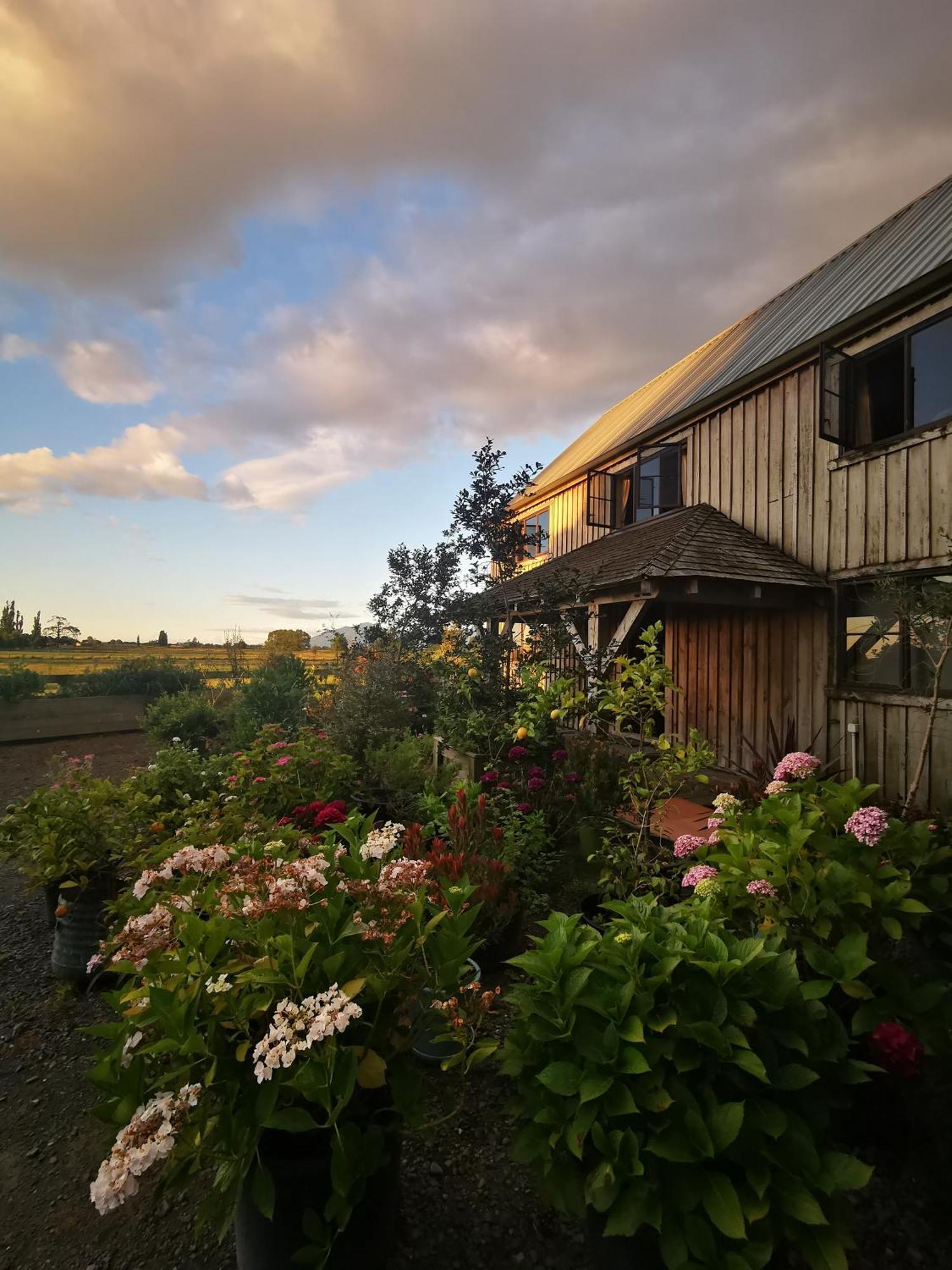 Housewithnonails Bed & Breakfast Matamata Exterior photo